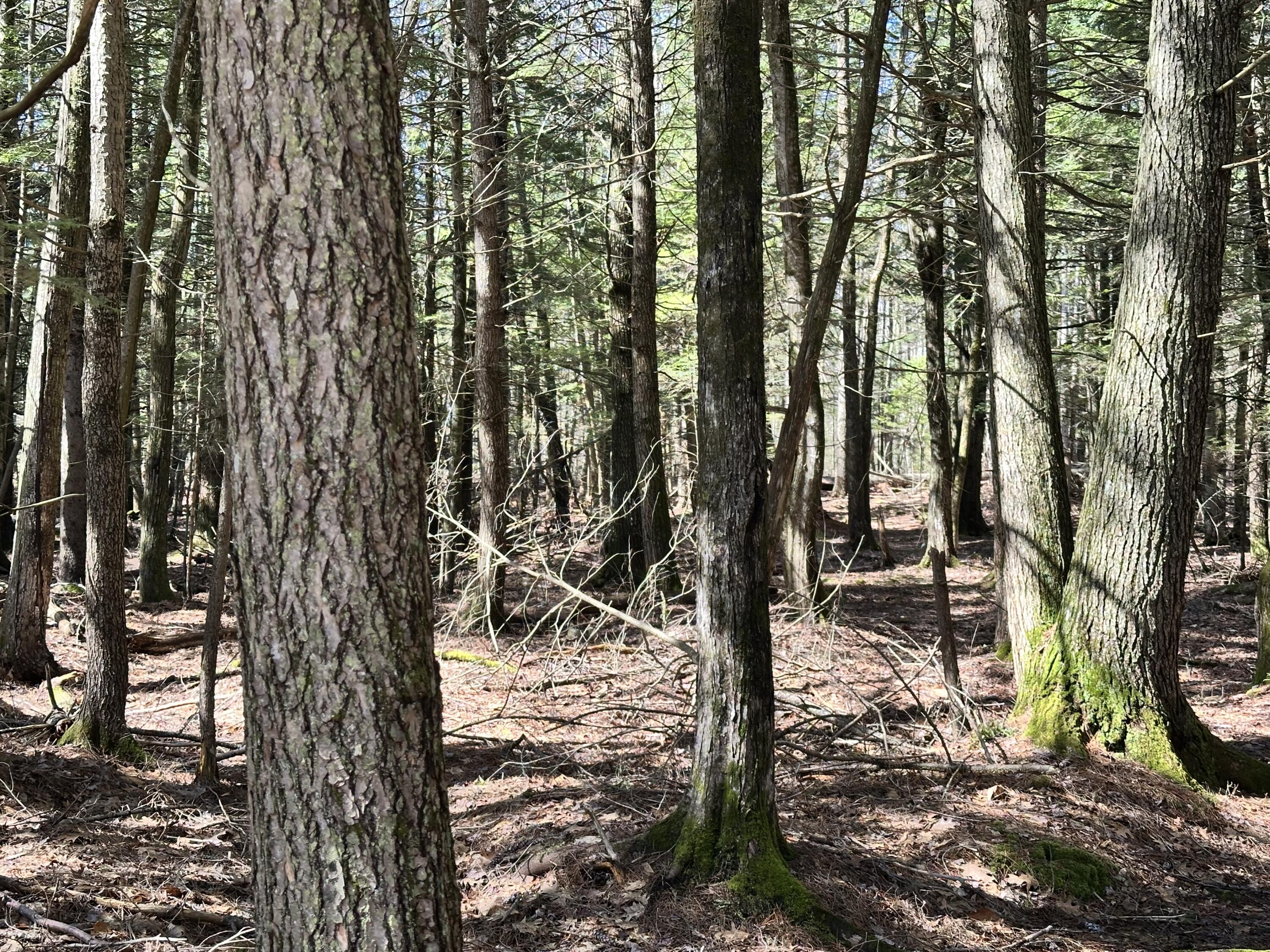 218 Plummer Road Richmond ME 04357