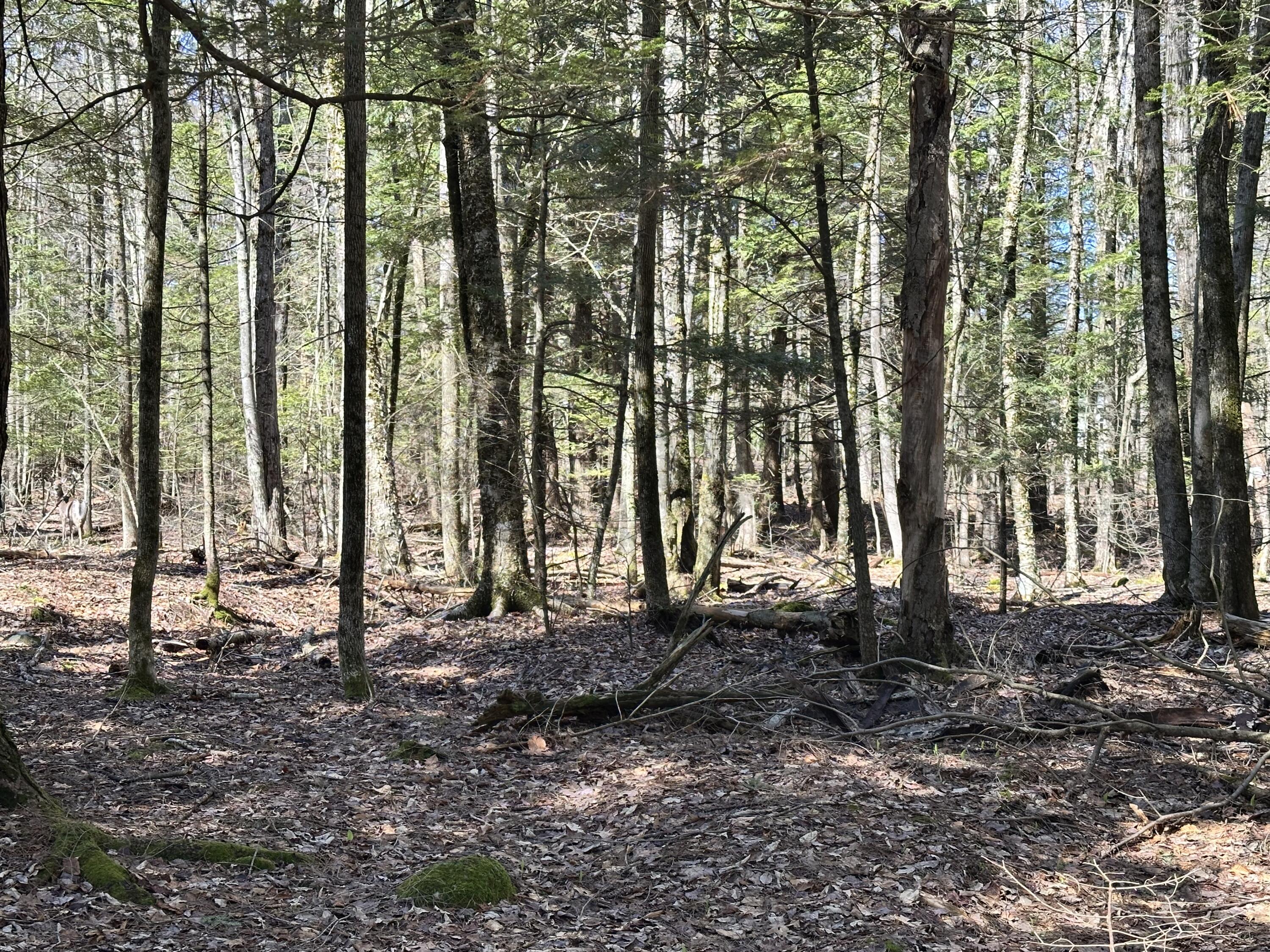 218 Plummer Road Richmond ME 04357