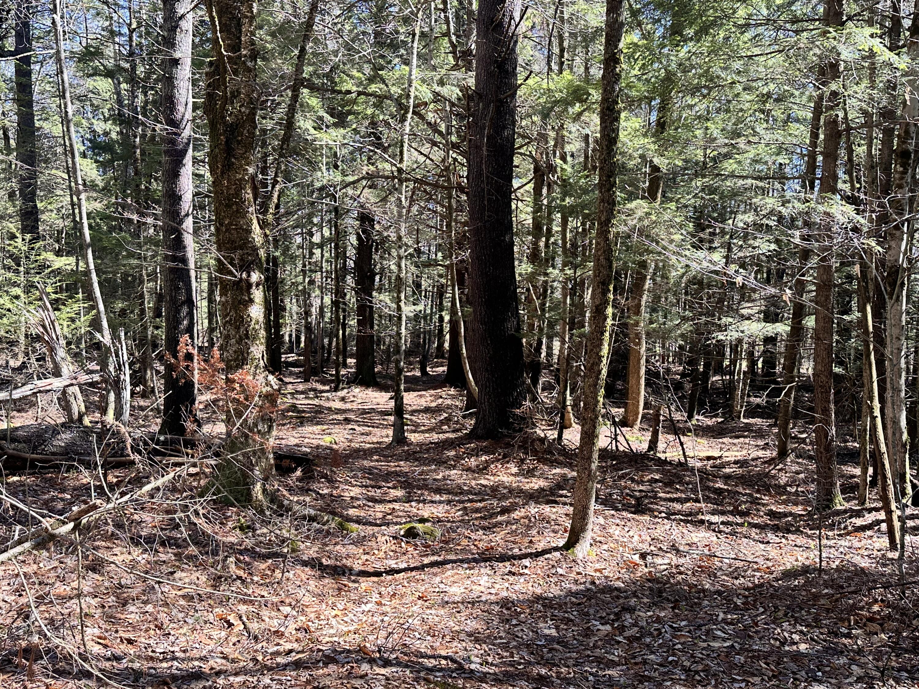218 Plummer Road Richmond ME 04357