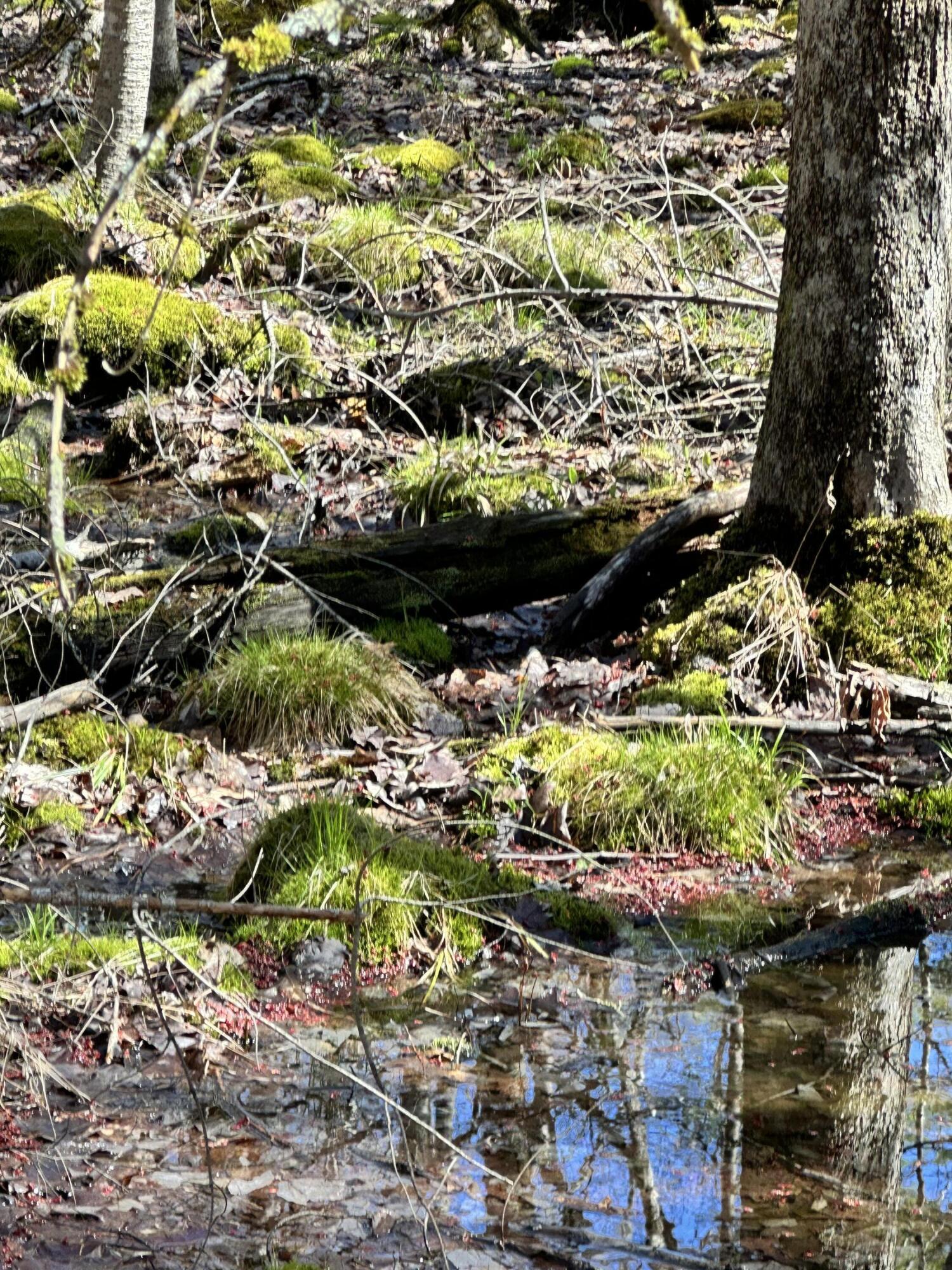 218 Plummer Road Richmond ME 04357