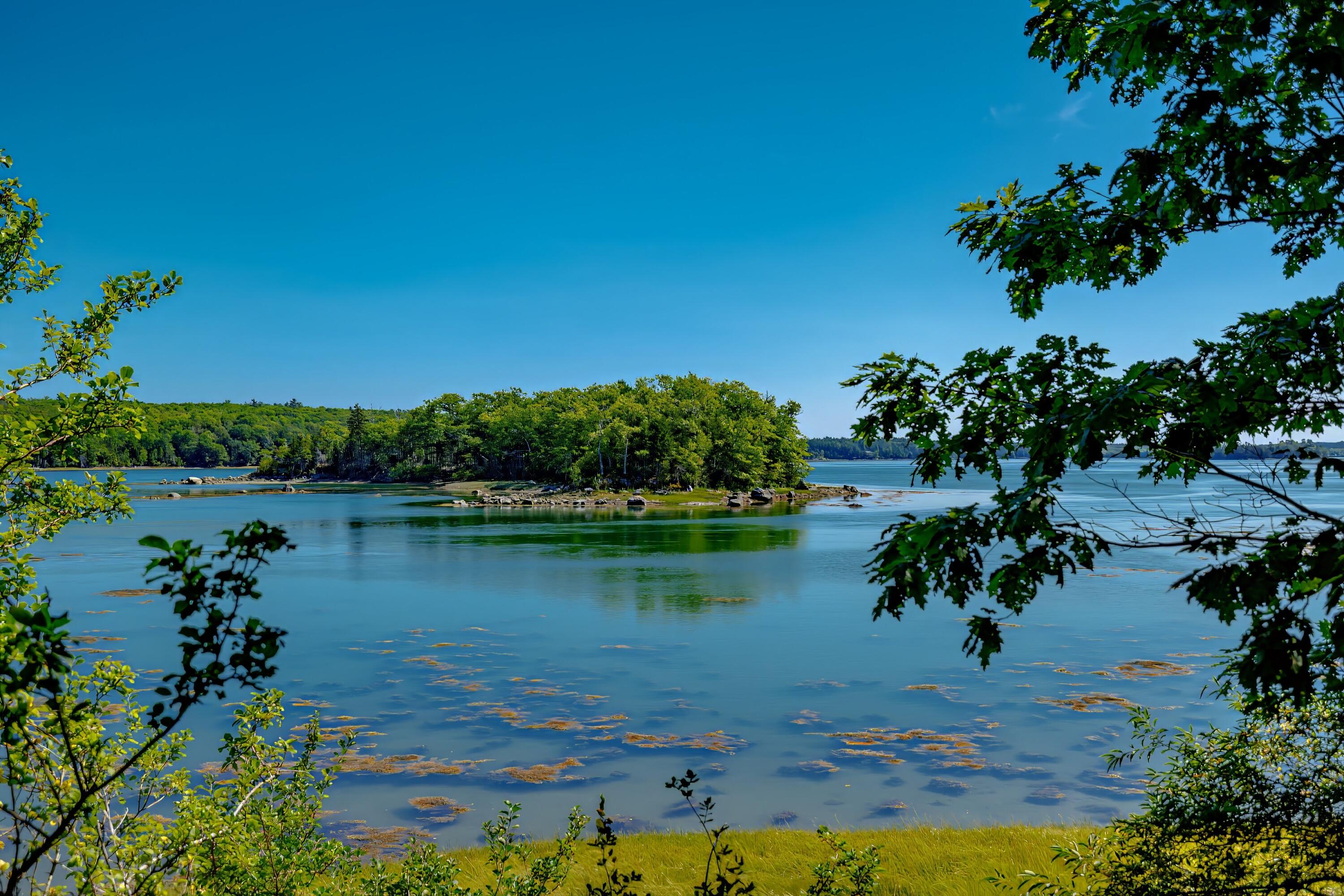 269 Wardwell Point Road Penobscot ME 04476