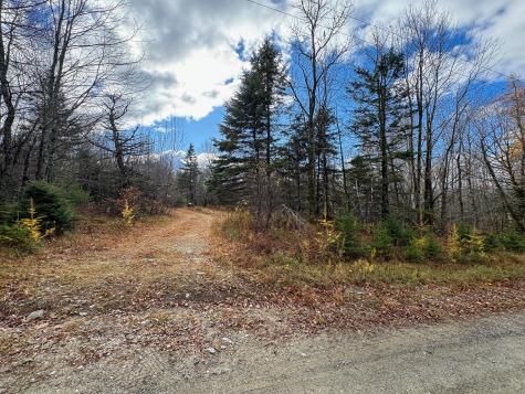 Tbd Lowell Road Carroll Plt ME 04487