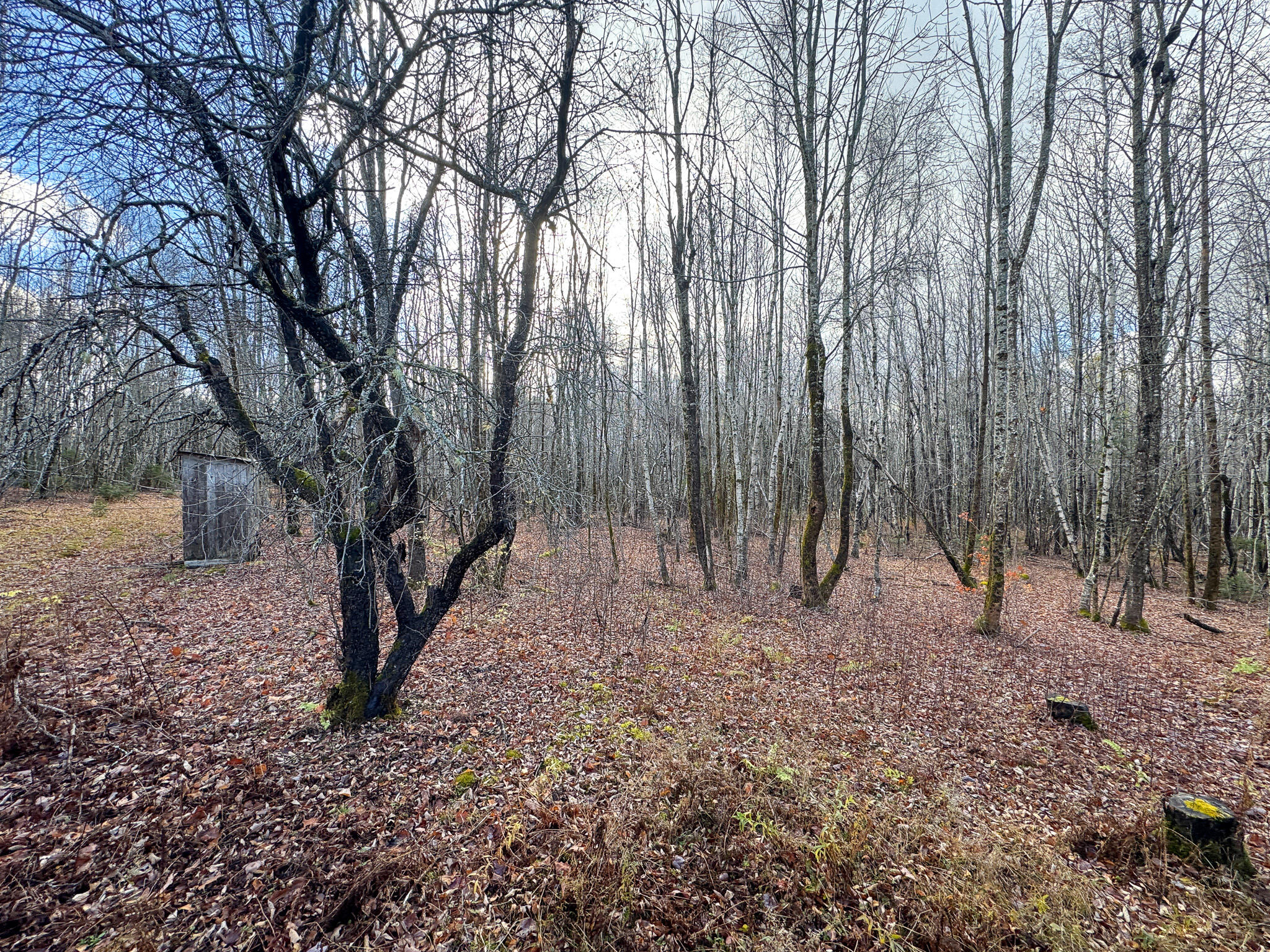 Tbd Lowell Road Carroll Plt ME 04487