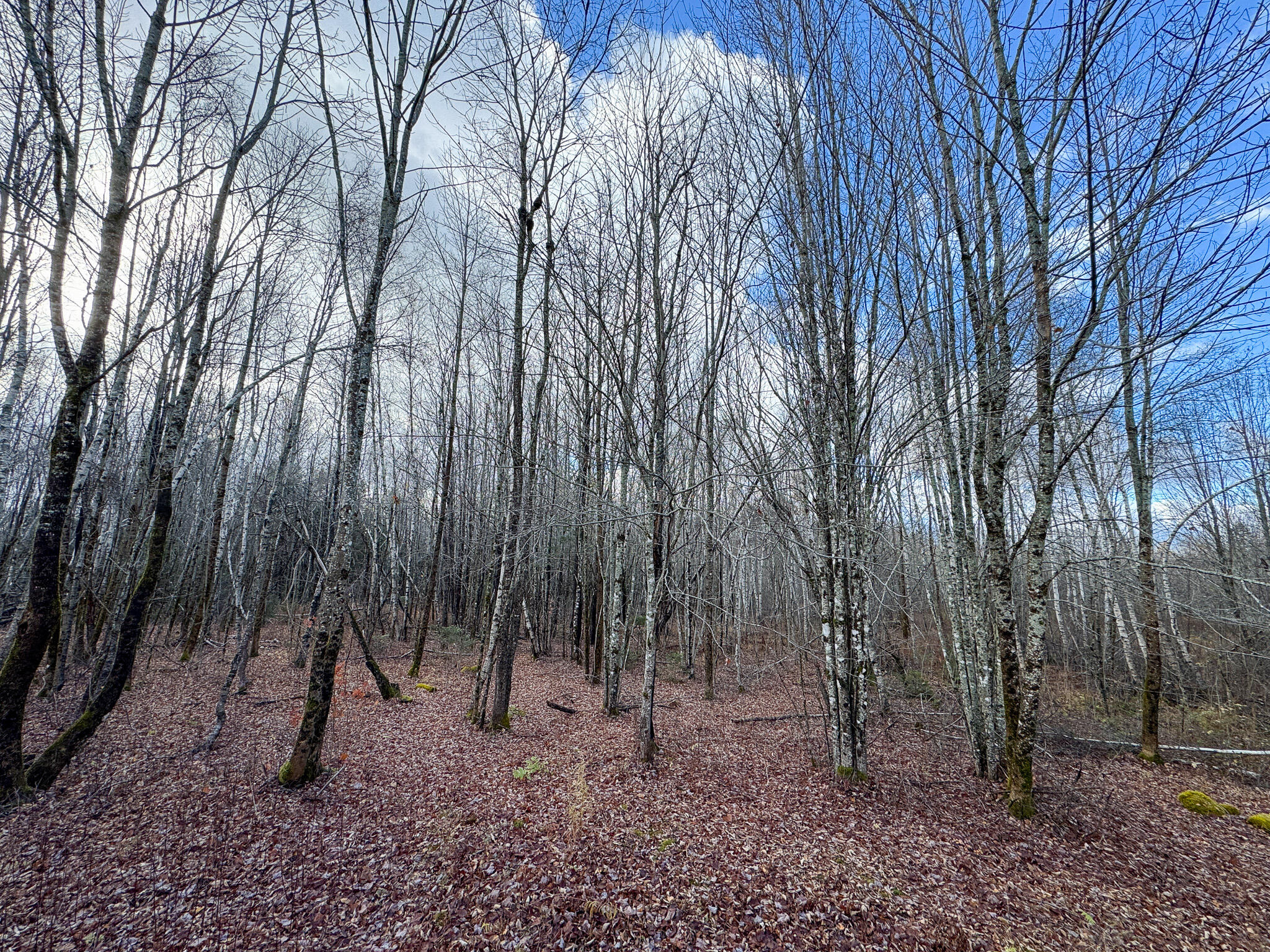 Tbd Lowell Road Carroll Plt ME 04487