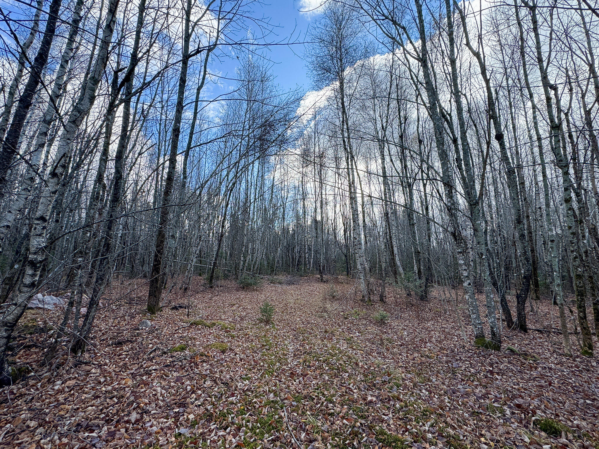 Tbd Lowell Road Carroll Plt ME 04487