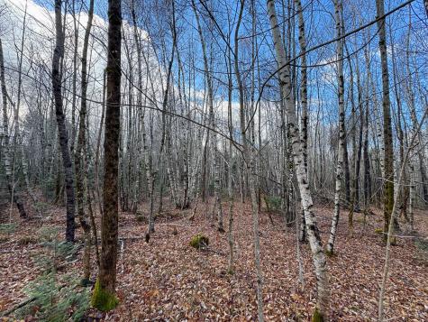 Tbd Lowell Road Carroll Plt ME 04487