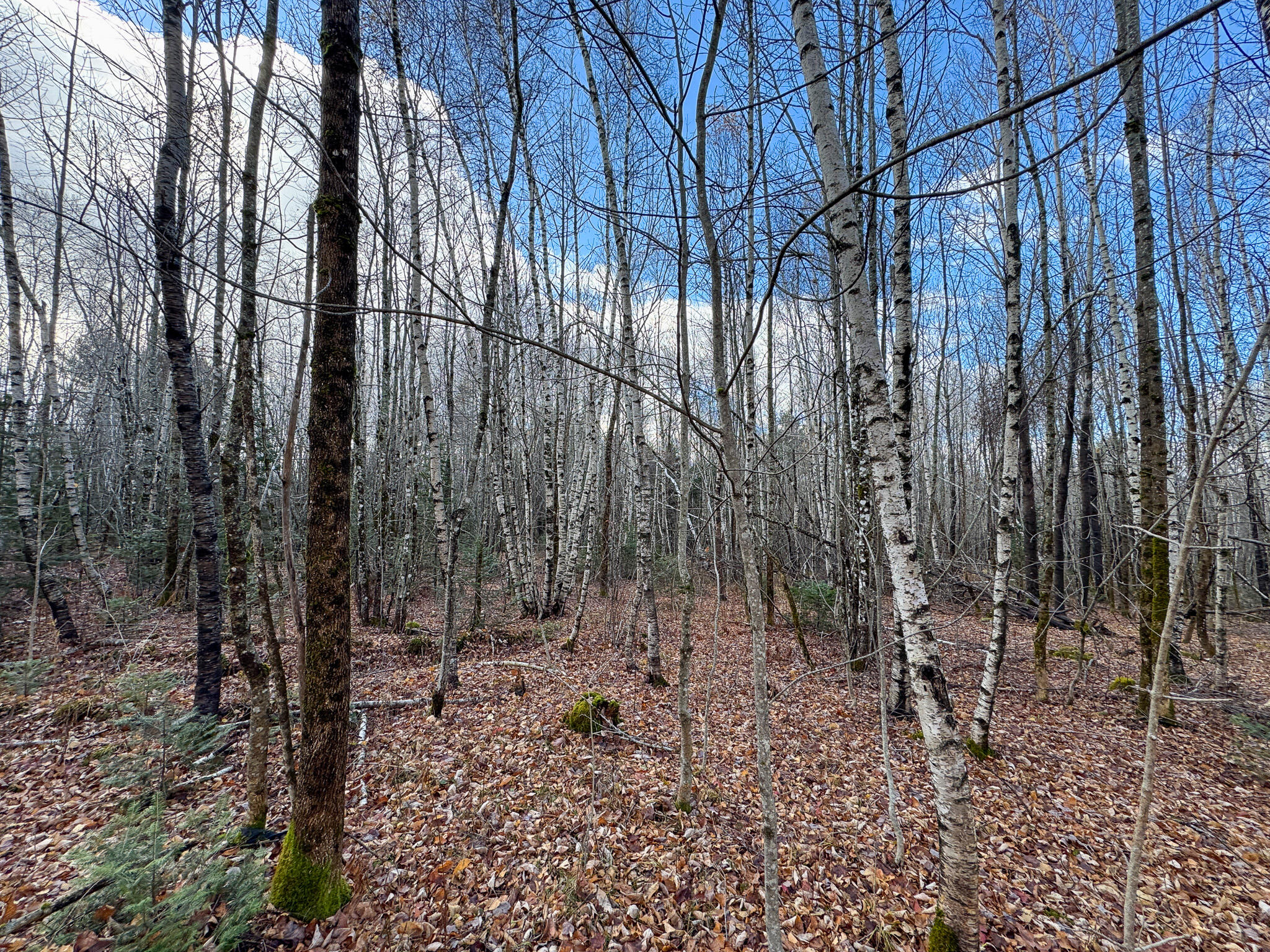 Tbd Lowell Road Carroll Plt ME 04487