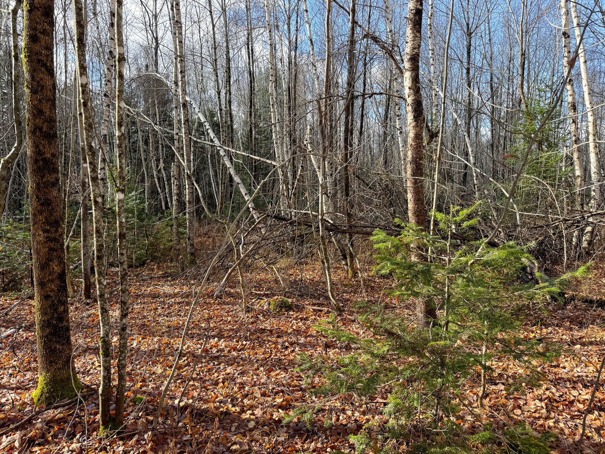 Tbd Lowell Road Carroll Plt ME 04487