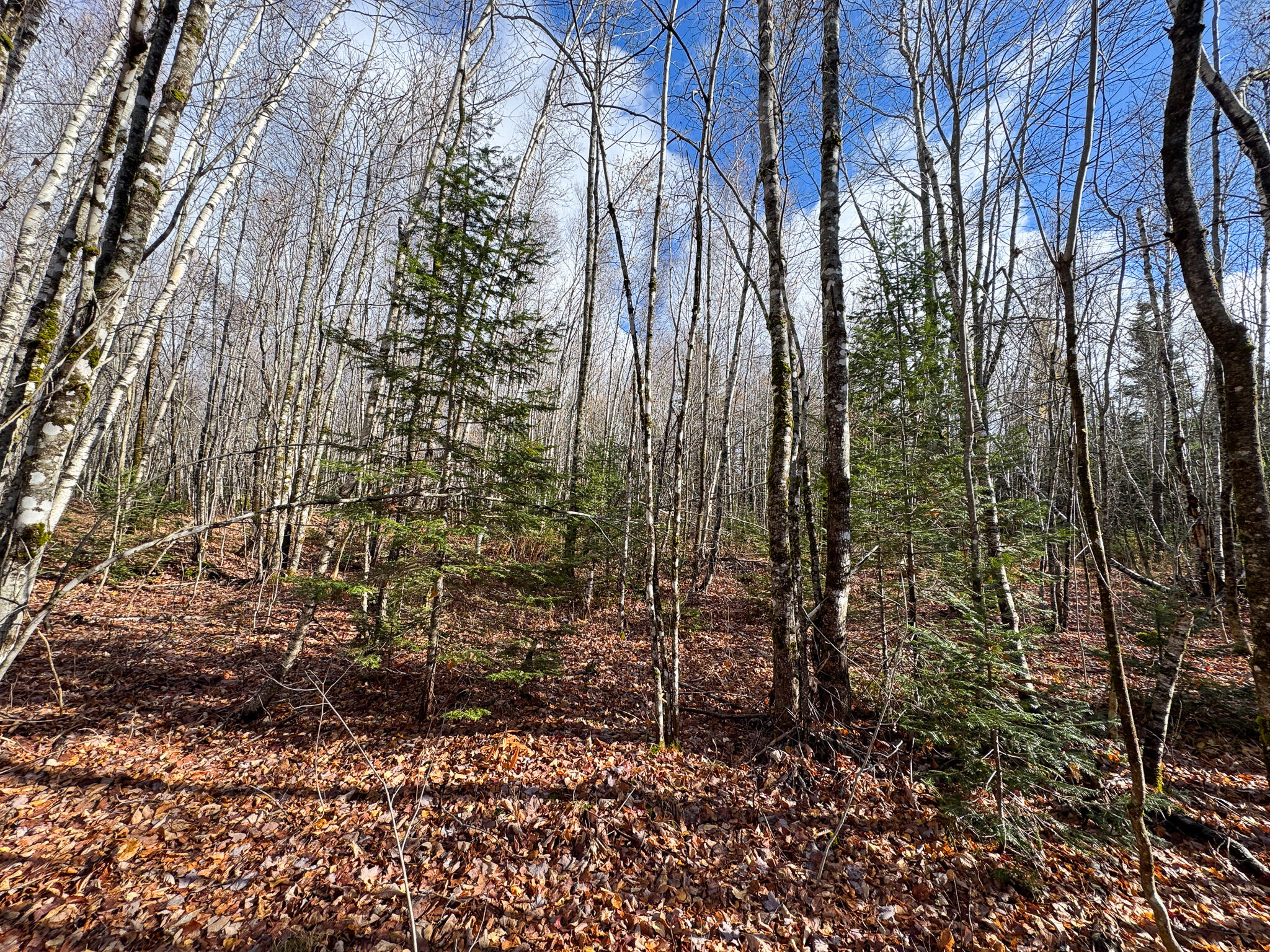 Tbd Lowell Road Carroll Plt ME 04487