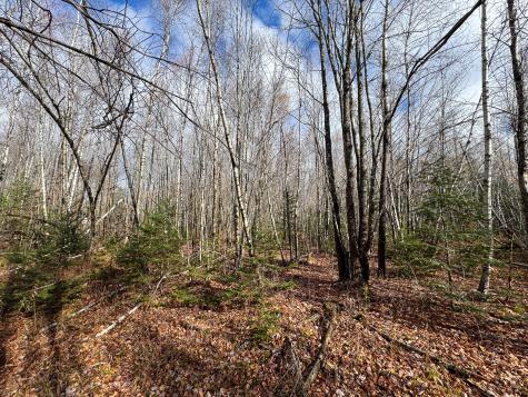 Tbd Lowell Road Carroll Plt ME 04487