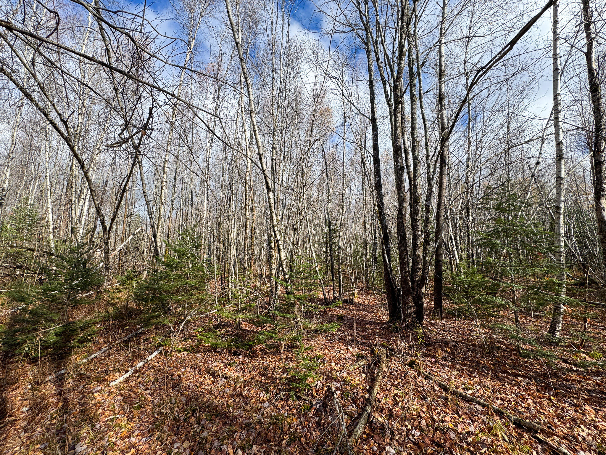 Tbd Lowell Road Carroll Plt ME 04487