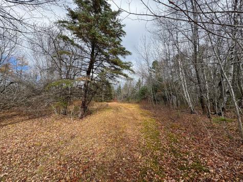Tbd Lowell Road Carroll Plt ME 04487