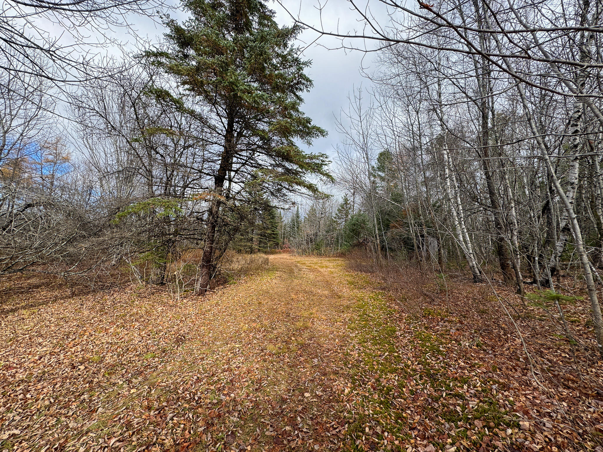 Tbd Lowell Road Carroll Plt ME 04487