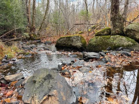 Tbd Lowell Road Carroll Plt ME 04487