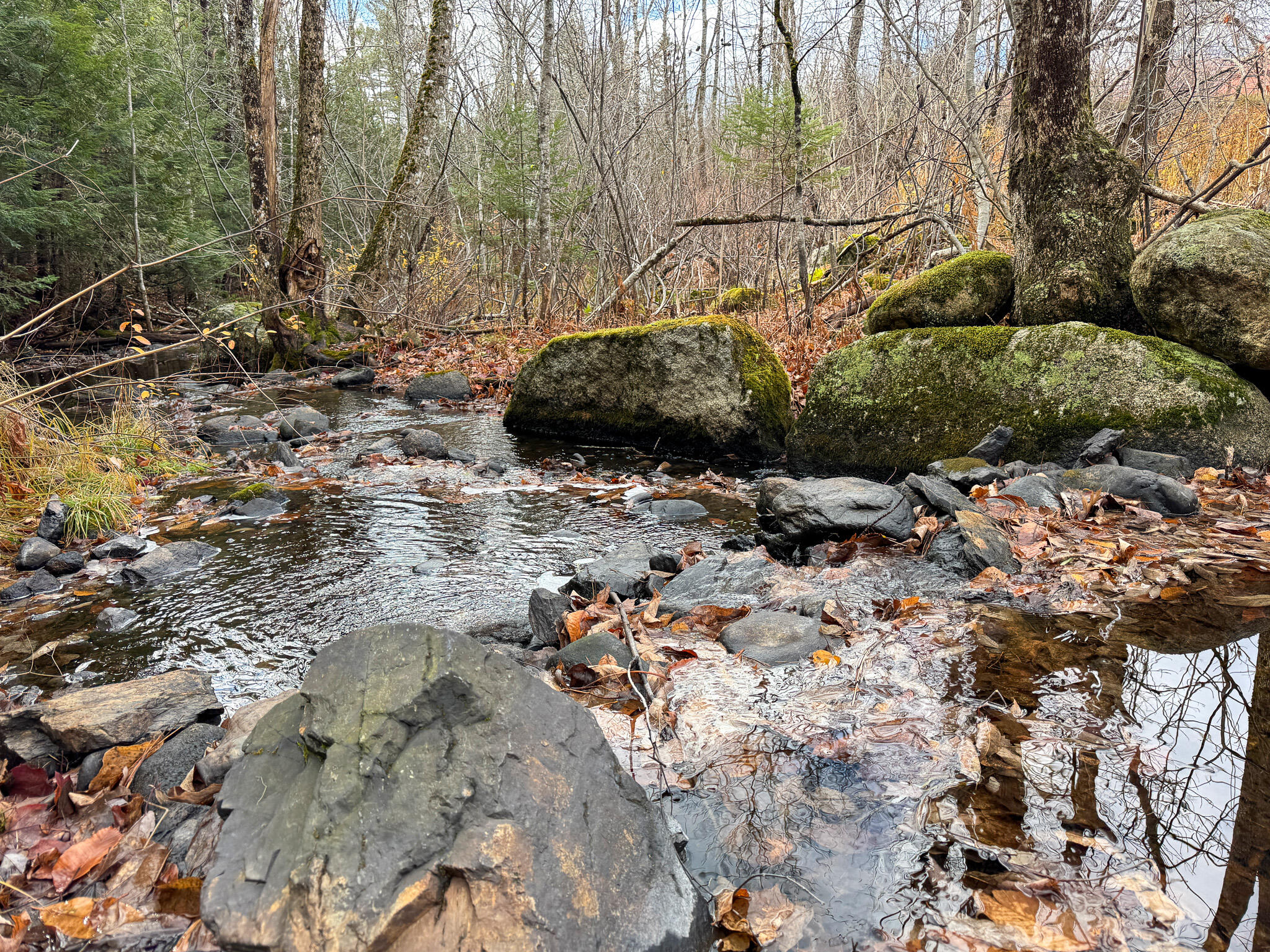 Tbd Lowell Road Carroll Plt ME 04487