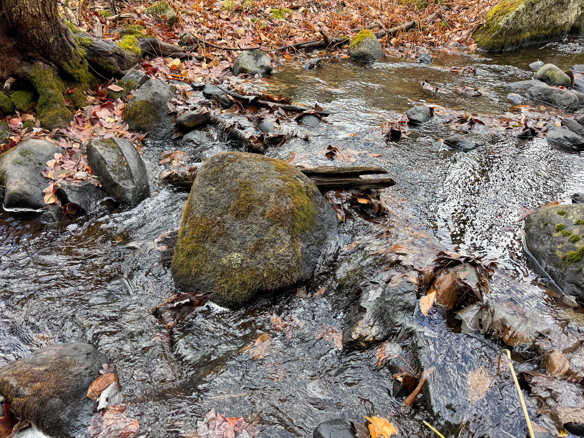 Tbd Lowell Road Carroll Plt ME 04487