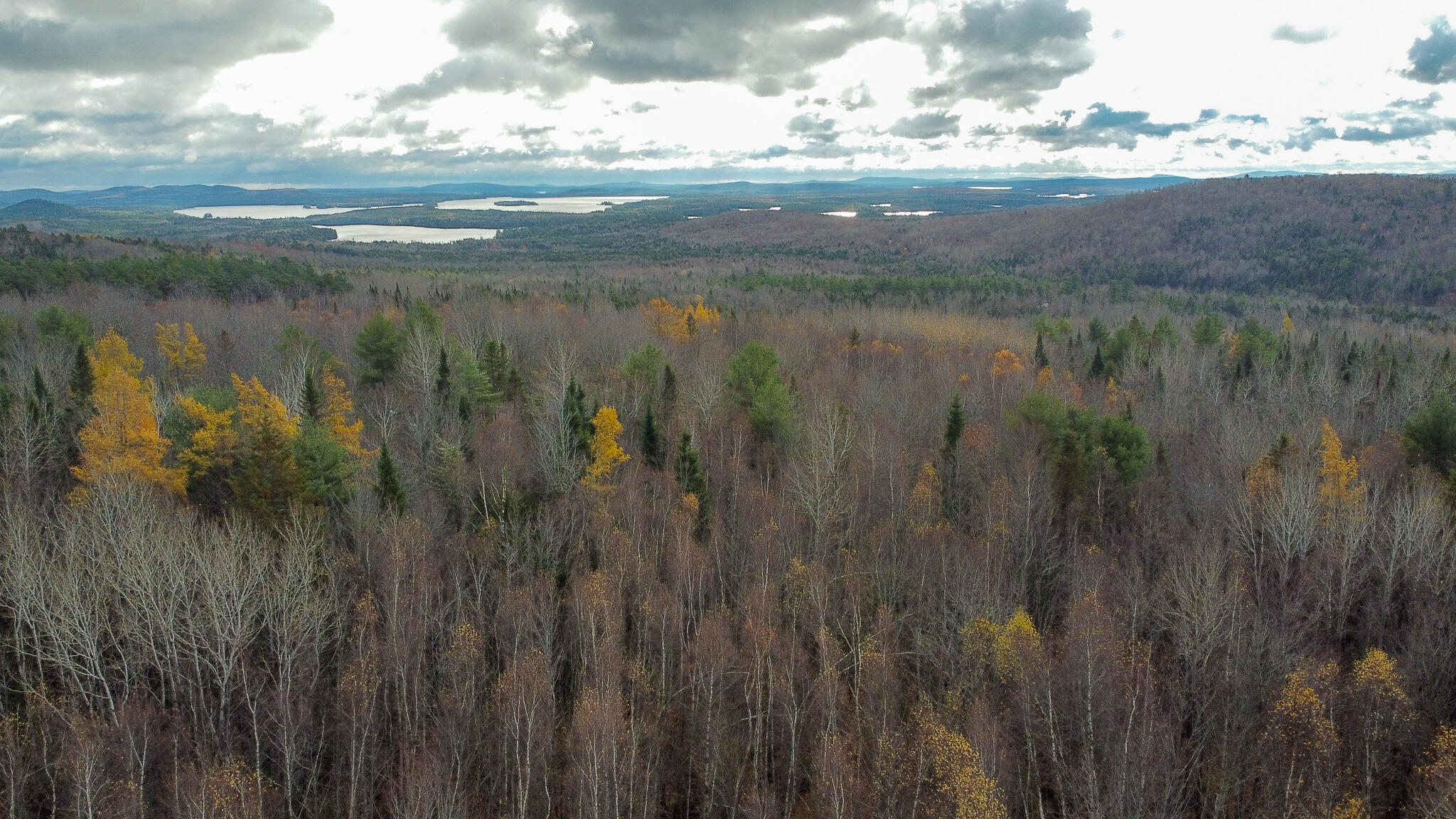 Tbd Lowell Road Carroll Plt ME 04487