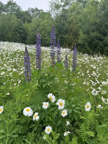 61 Village View Lane North Yarmouth ME 04097