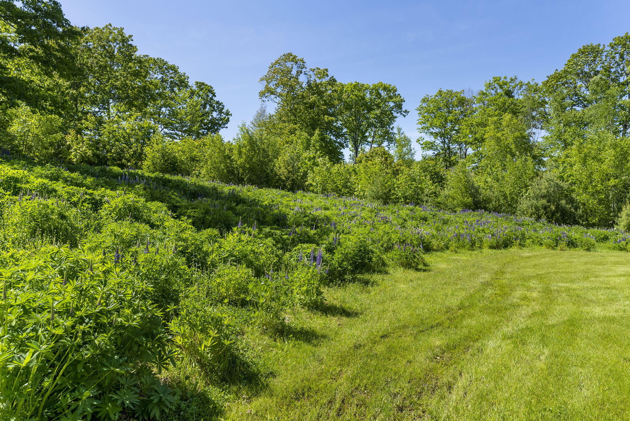 61 Village View Lane North Yarmouth ME 04097