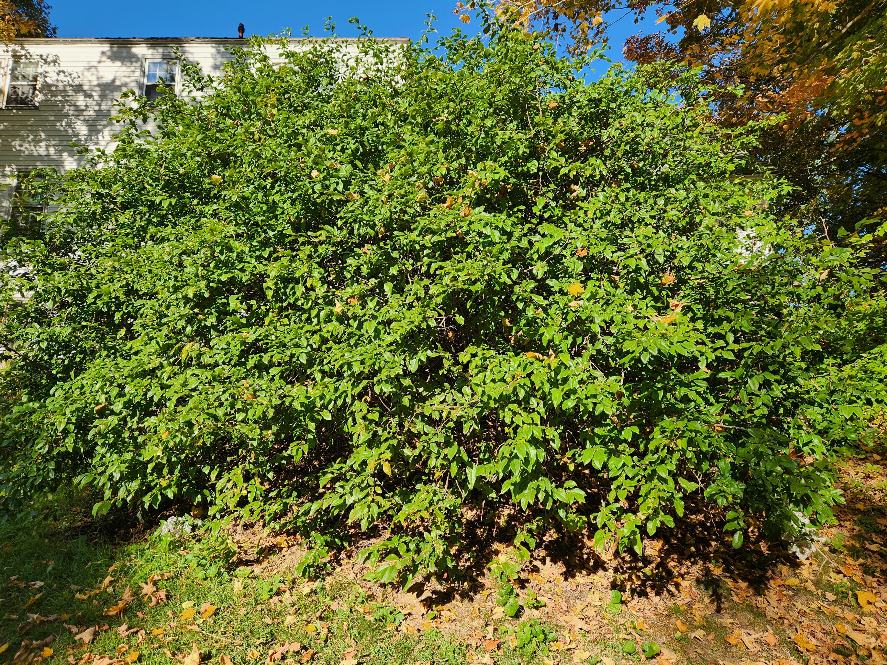 45 Station Road Hebron ME 04238