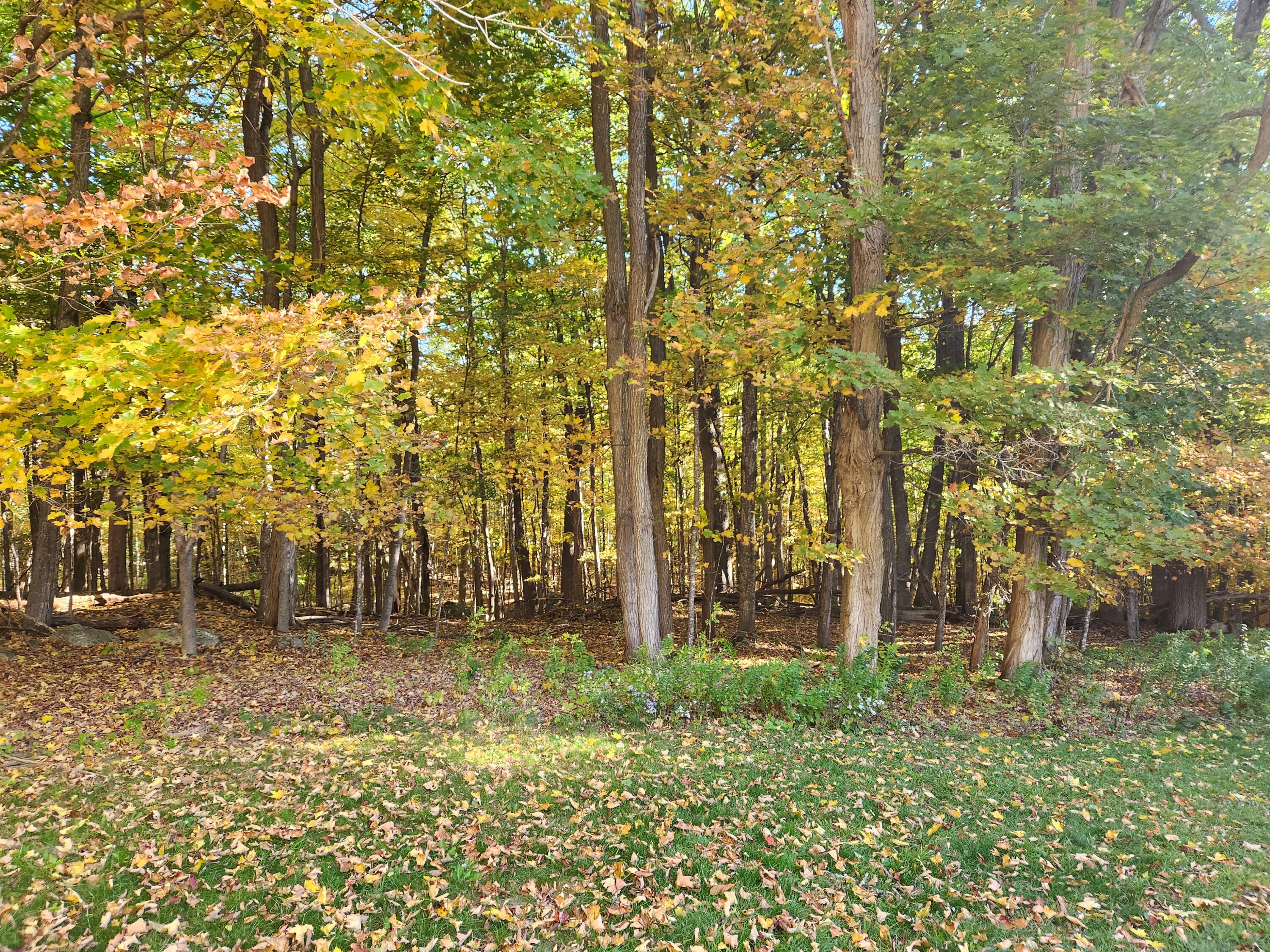 45 Station Road Hebron ME 04238