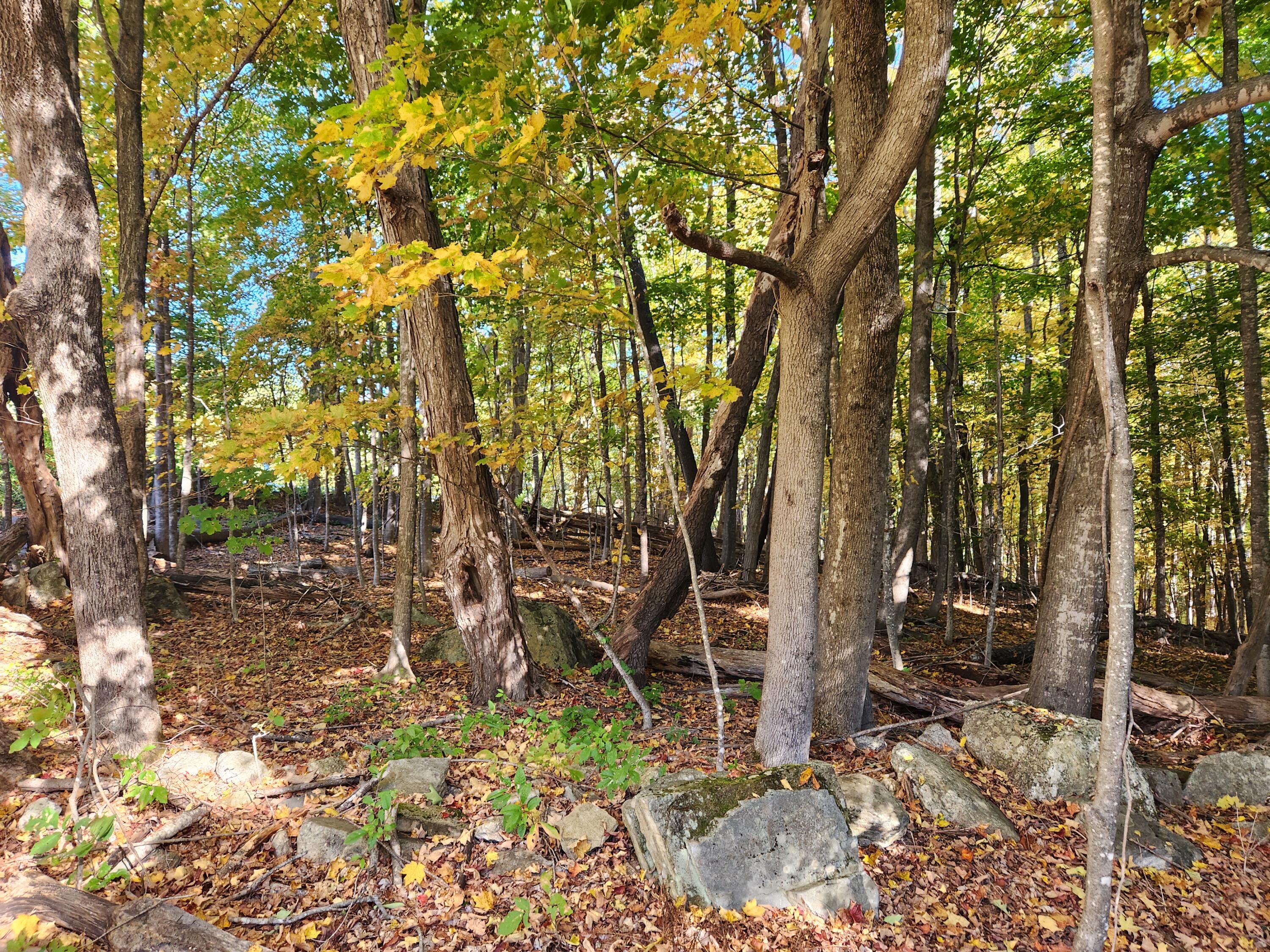 45 Station Road Hebron ME 04238