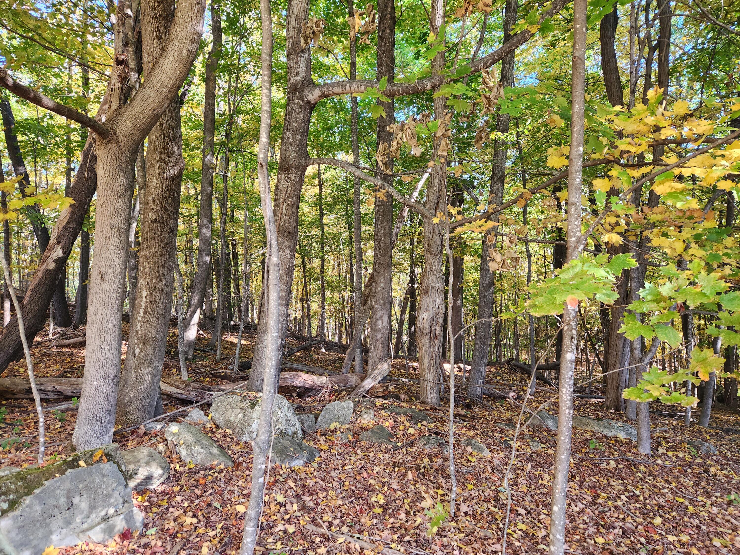 45 Station Road Hebron ME 04238