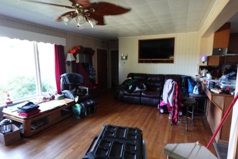 20 Dyke Drive Canton ME 04221