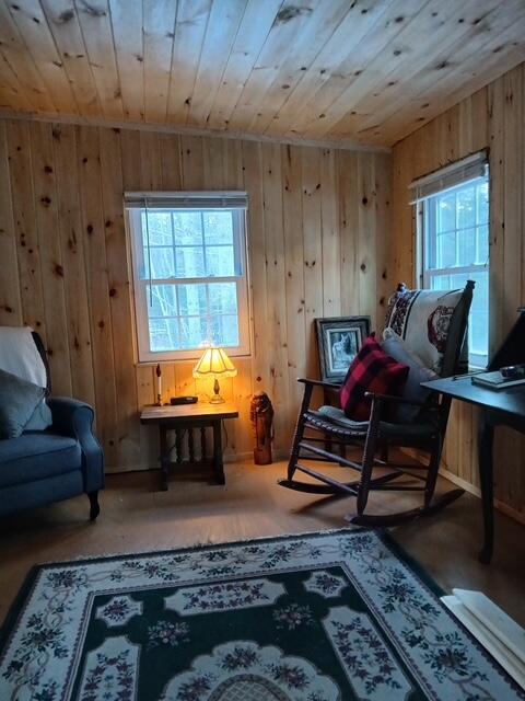 New Vineyard ME 04956