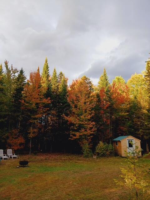 New Vineyard ME 04956