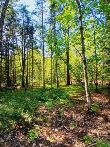 23 Shingle Mill Road New Vineyard ME 04956