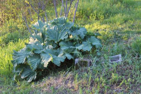 1 East Side Road Addison ME 04606