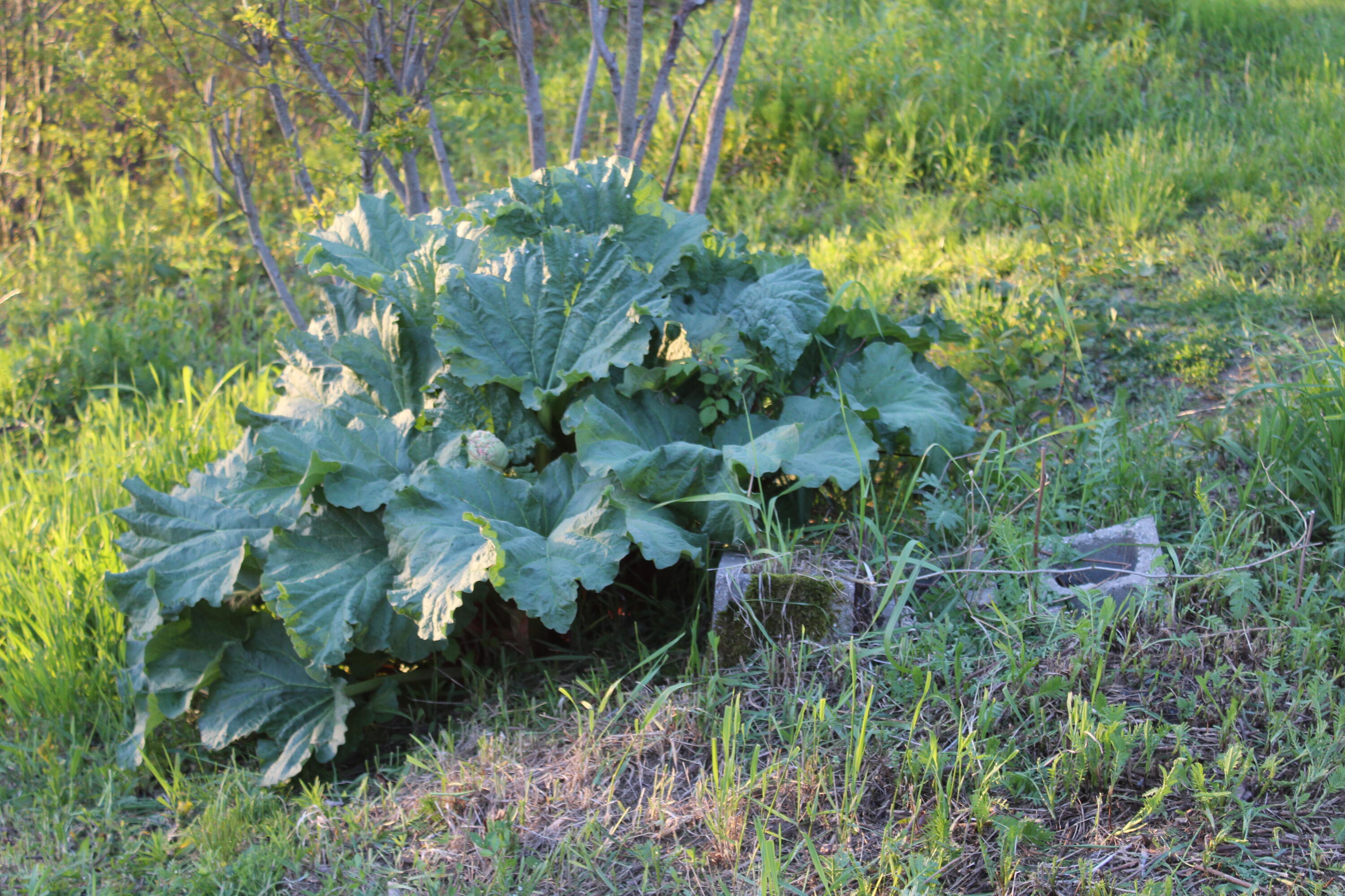 1 East Side Road Addison ME 04606