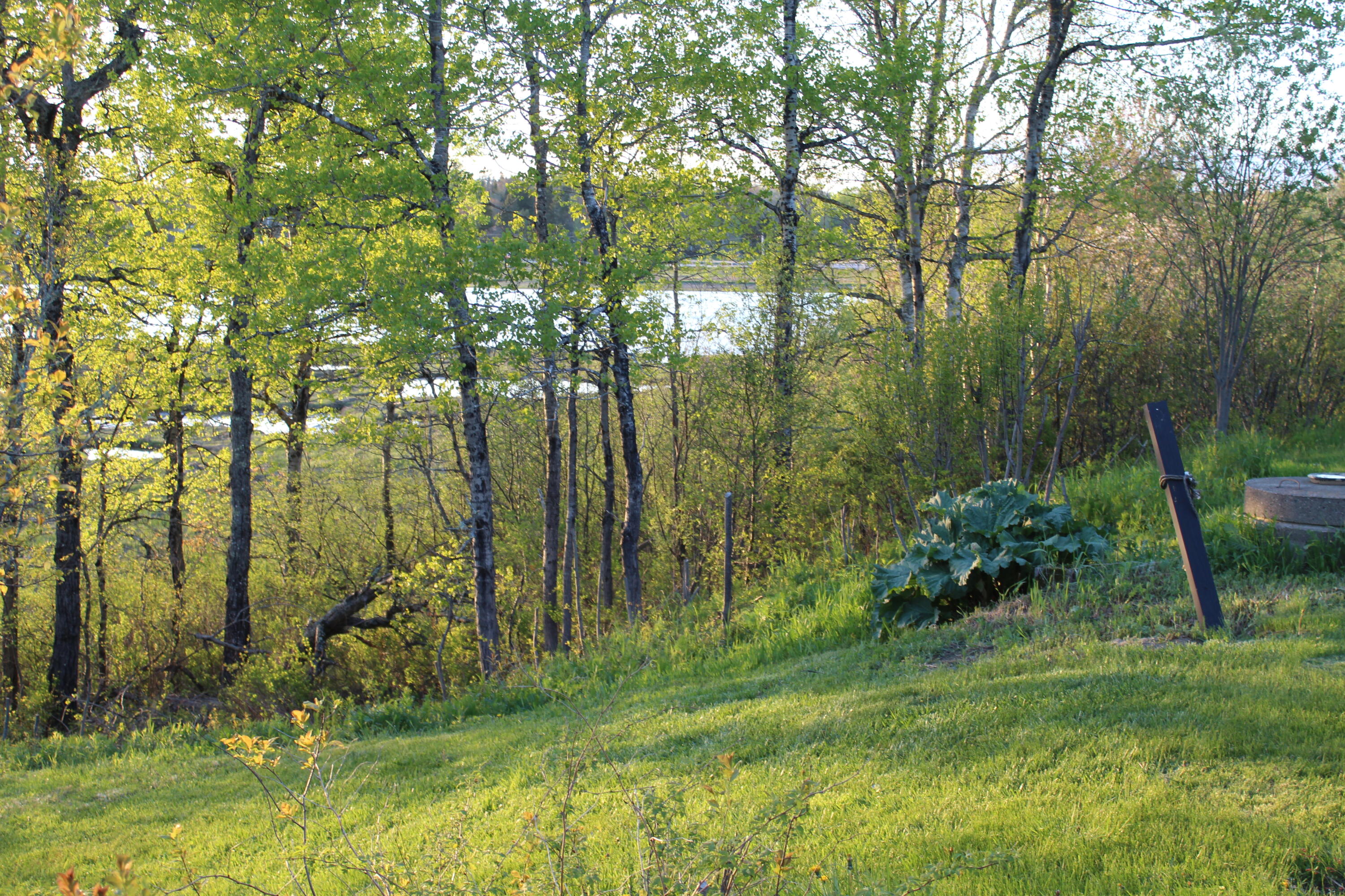 1 East Side Road Addison ME 04606