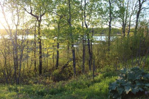 1 East Side Road Addison ME 04606