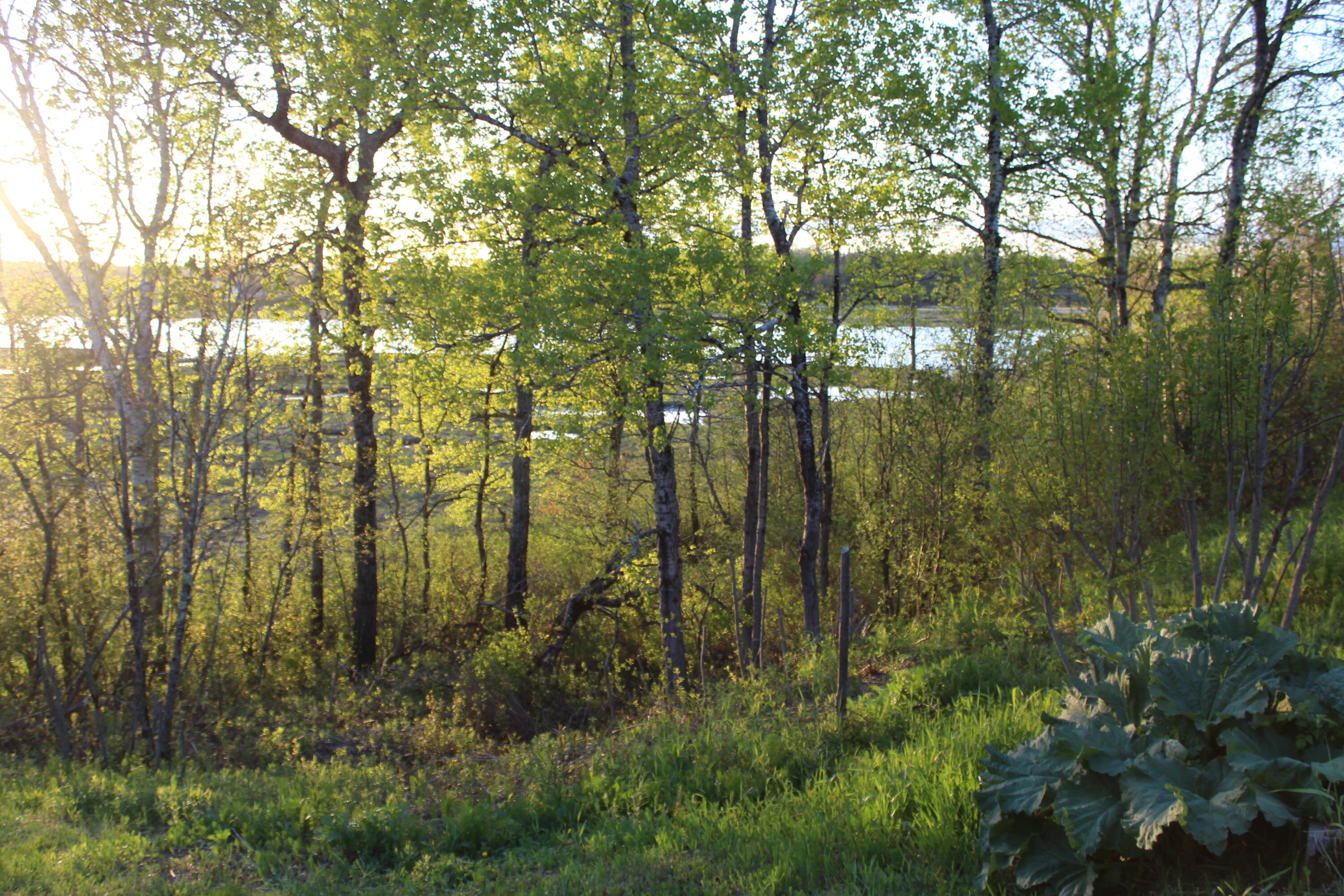 1 East Side Road Addison ME 04606