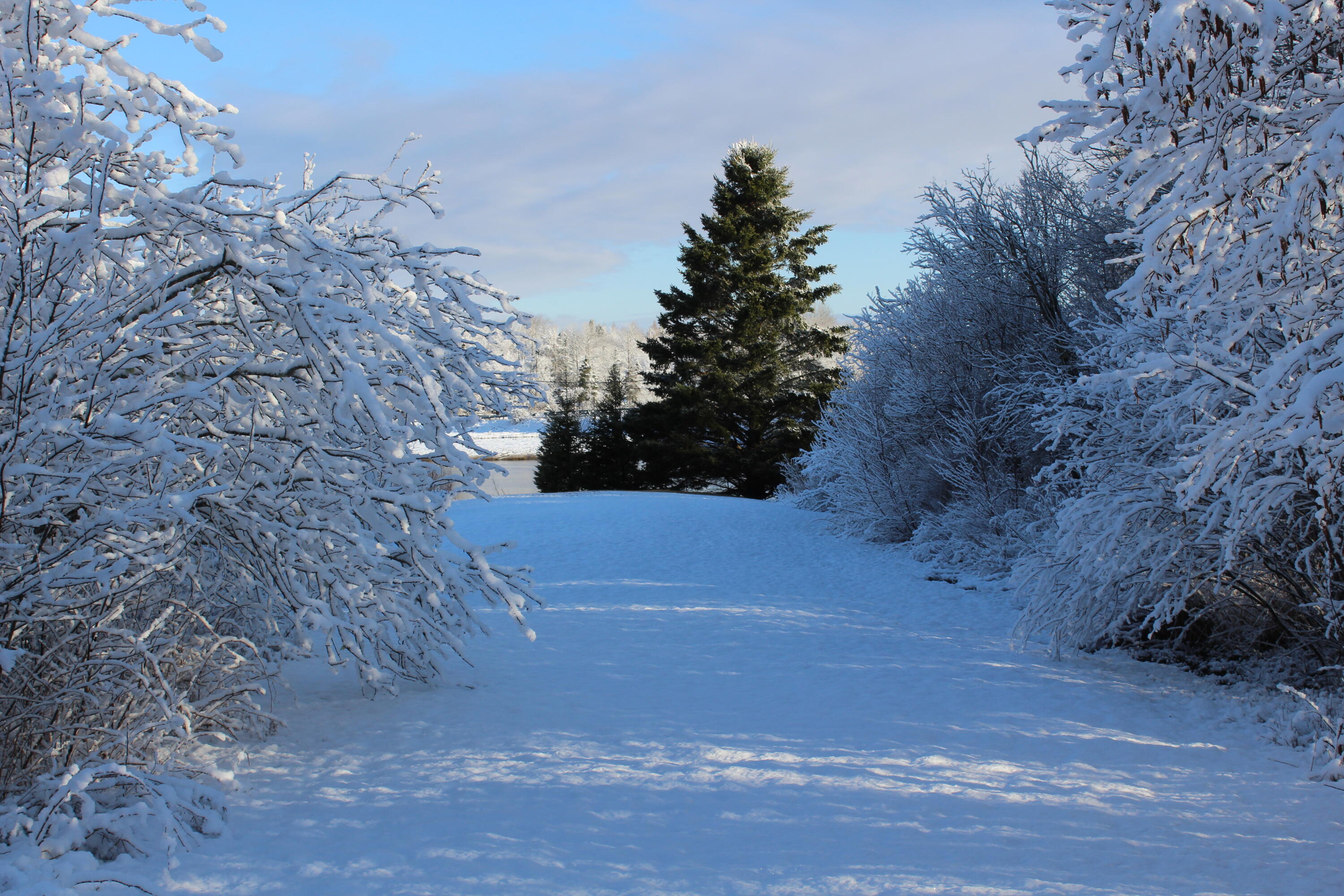 1 East Side Road Addison ME 04606