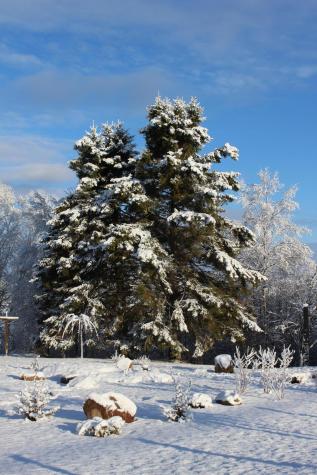 1 East Side Road Addison ME 04606