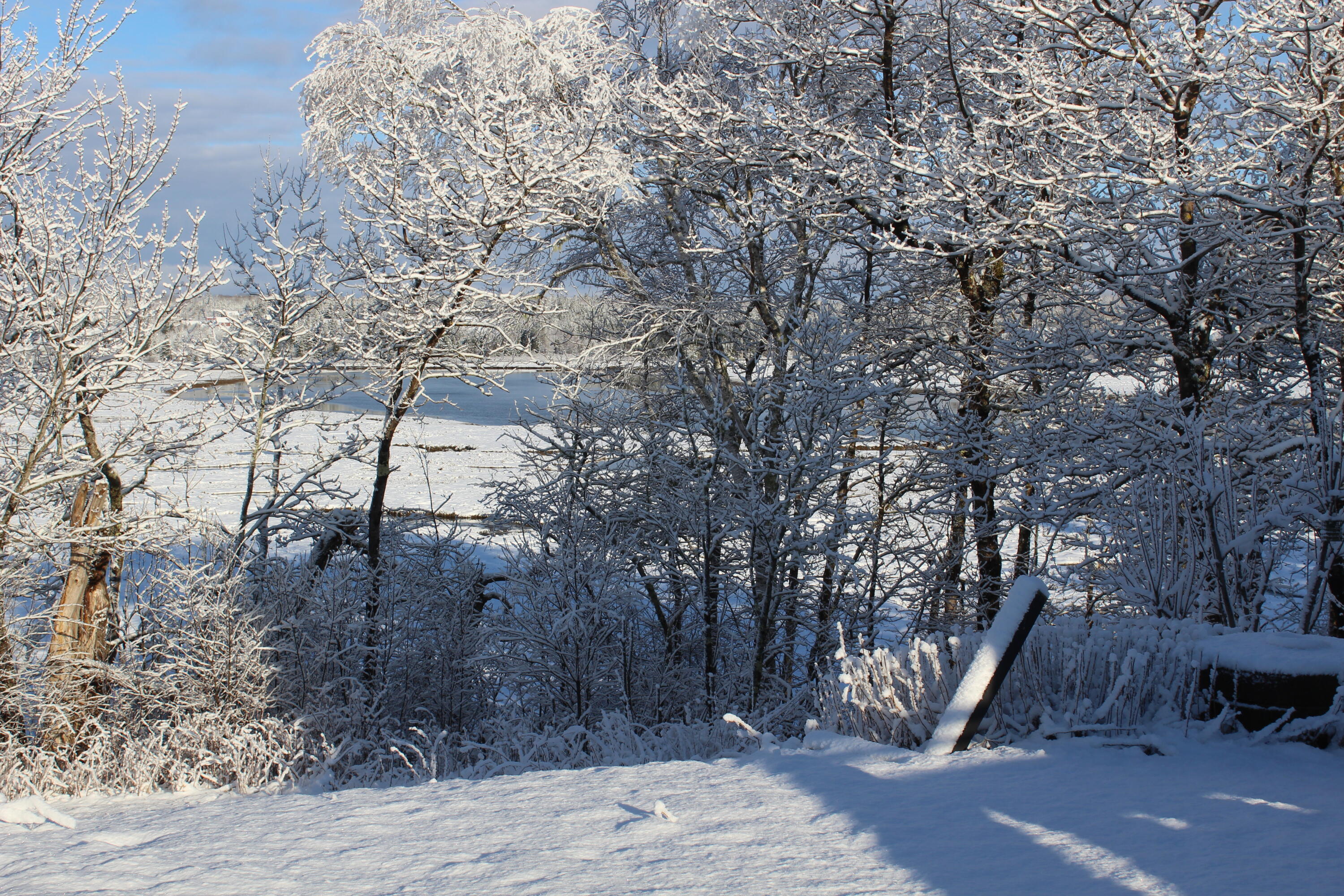 1 East Side Road Addison ME 04606