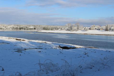 1 East Side Road Addison ME 04606