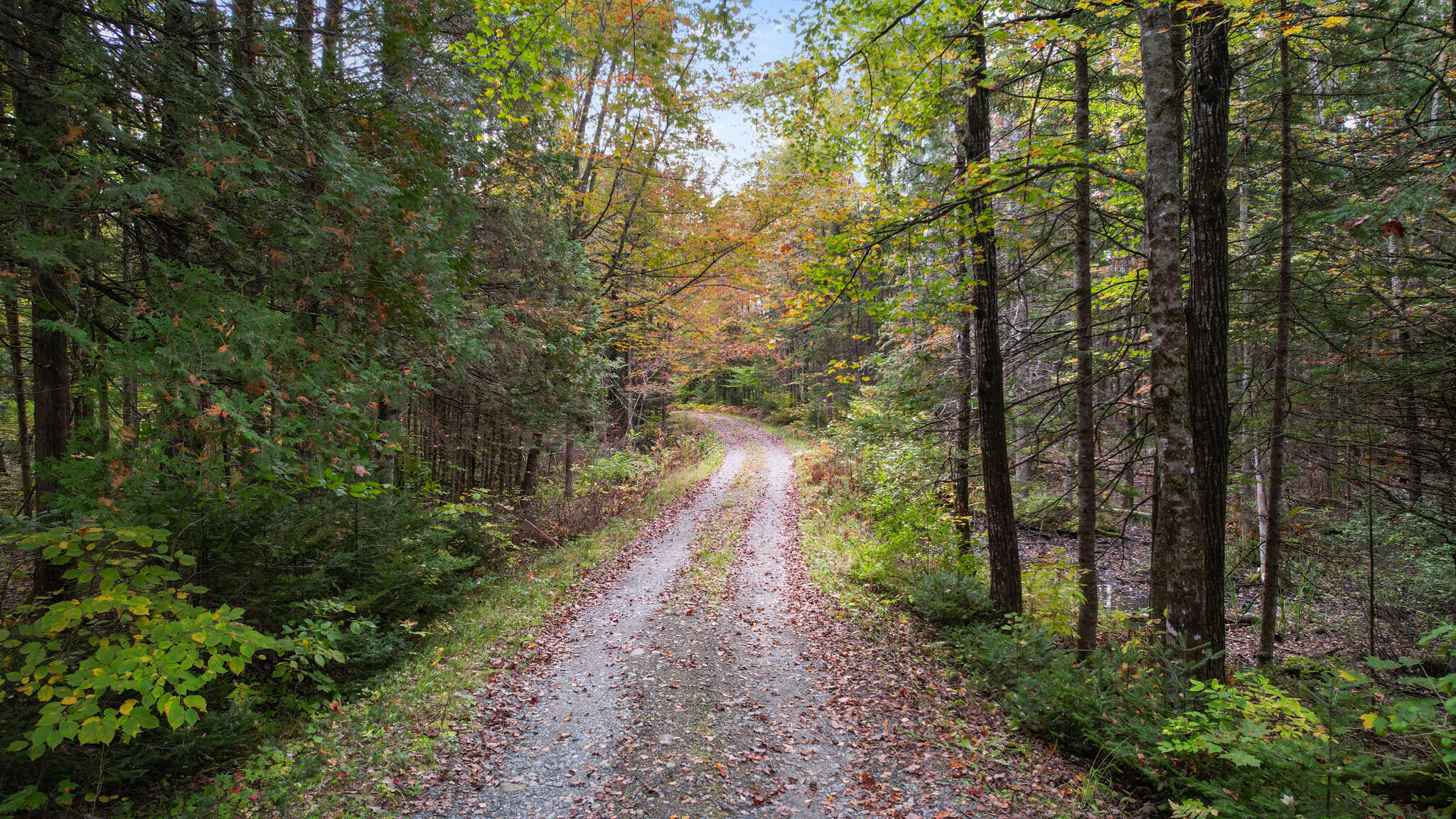 386 Frenchs Mill Road Sangerville ME 04479