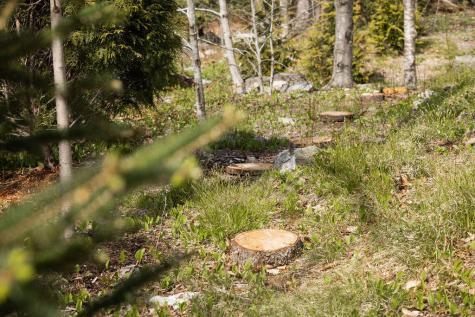 22 Oceanside Avenue W York ME 03909