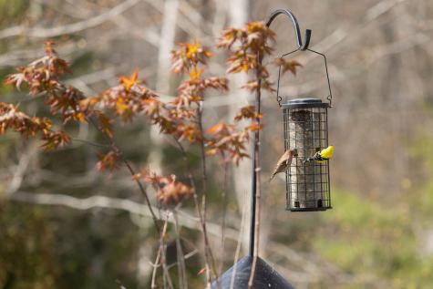 22 Oceanside Avenue W York ME 03909