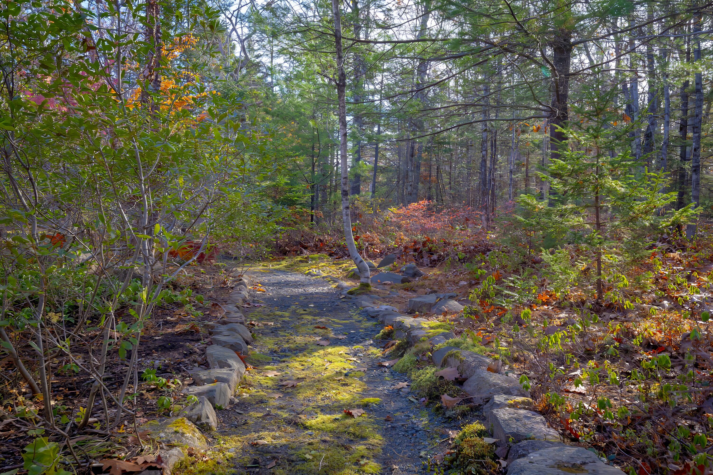 40 Ridgeway Drive Bar Harbor ME 04609