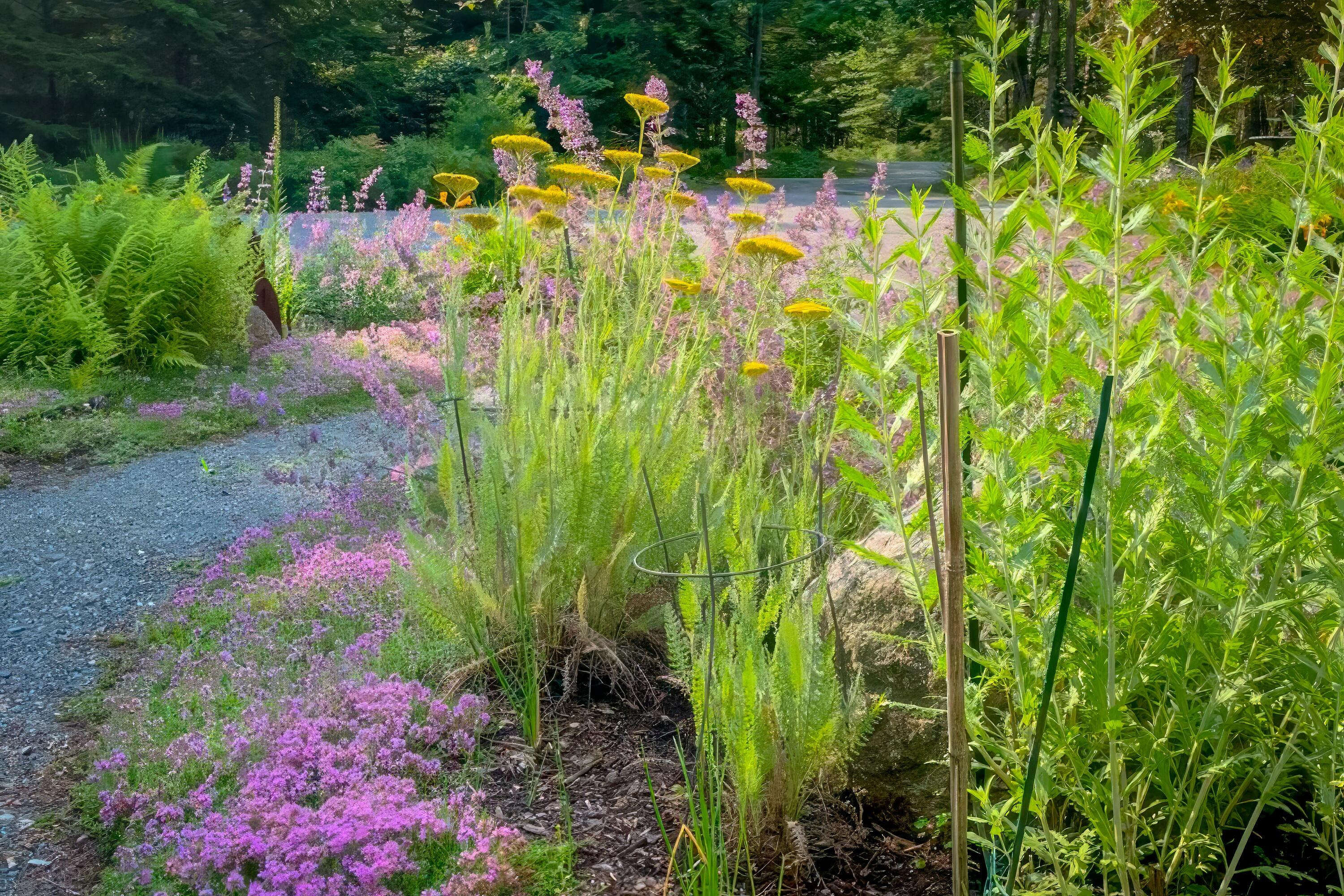 40 Ridgeway Drive Bar Harbor ME 04609