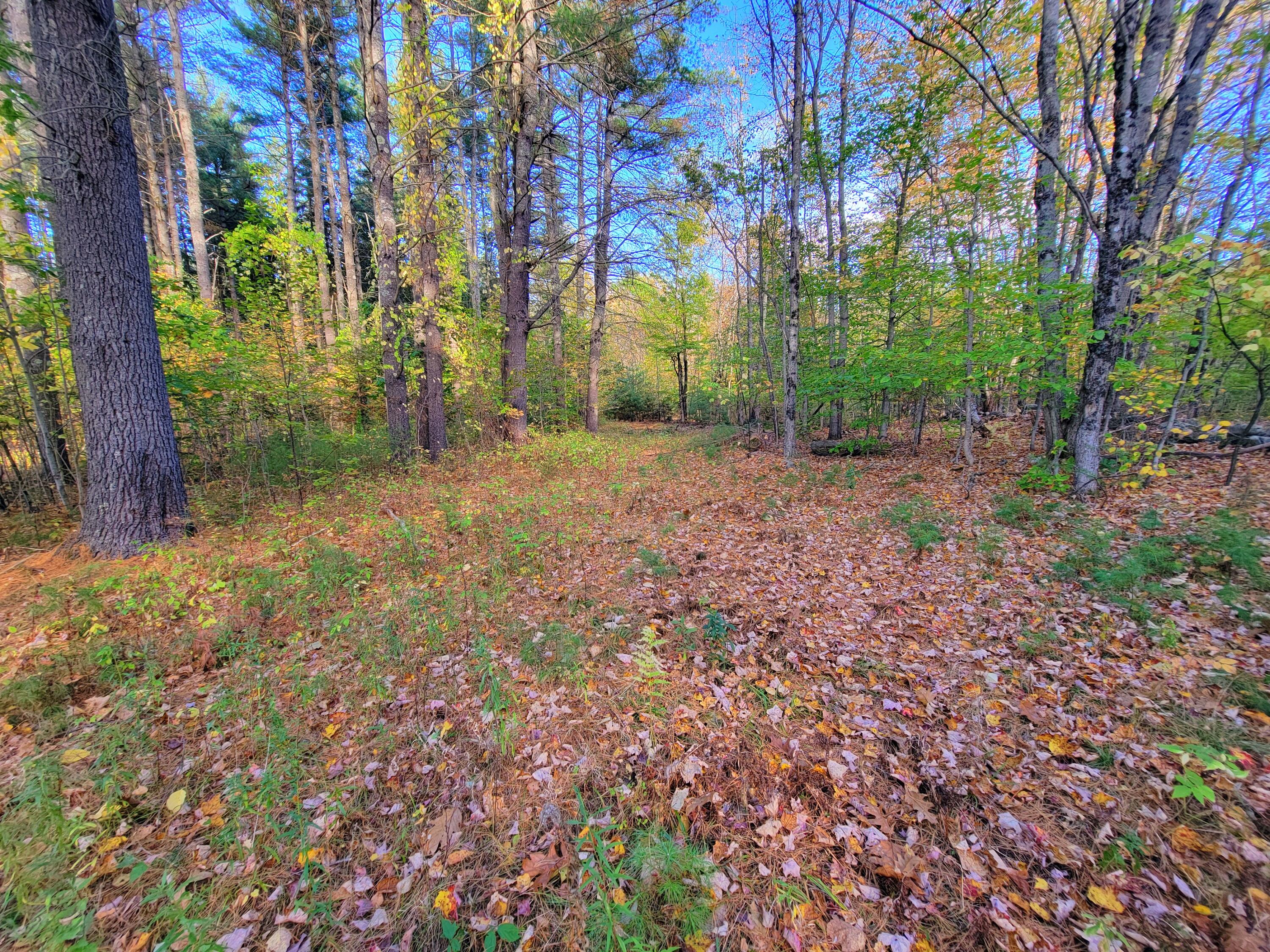 449 Holley Road Farmington ME 04938