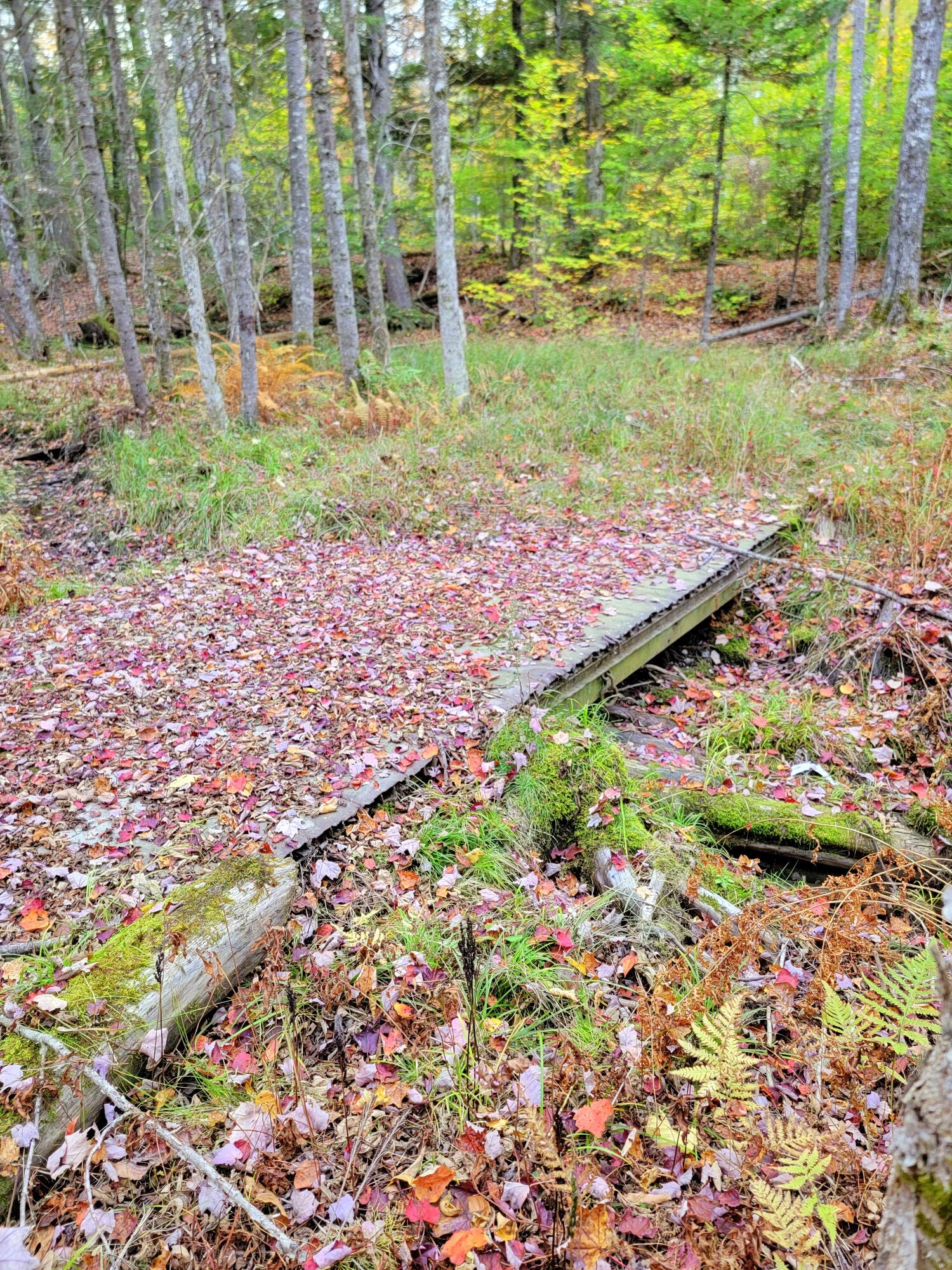 449 Holley Road Farmington ME 04938