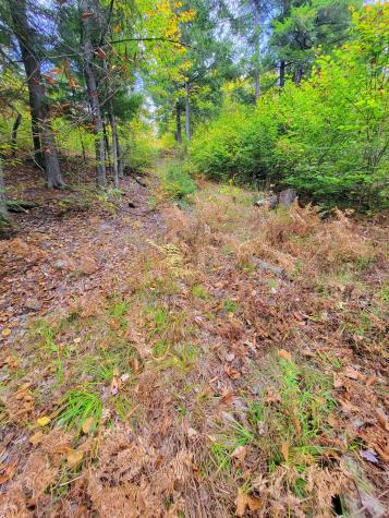 449 Holley Road Farmington ME 04938