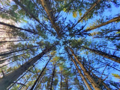 449 Holley Road Farmington ME 04938