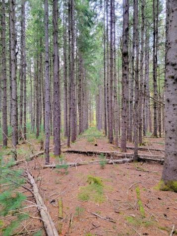 449 Holley Road Farmington ME 04938